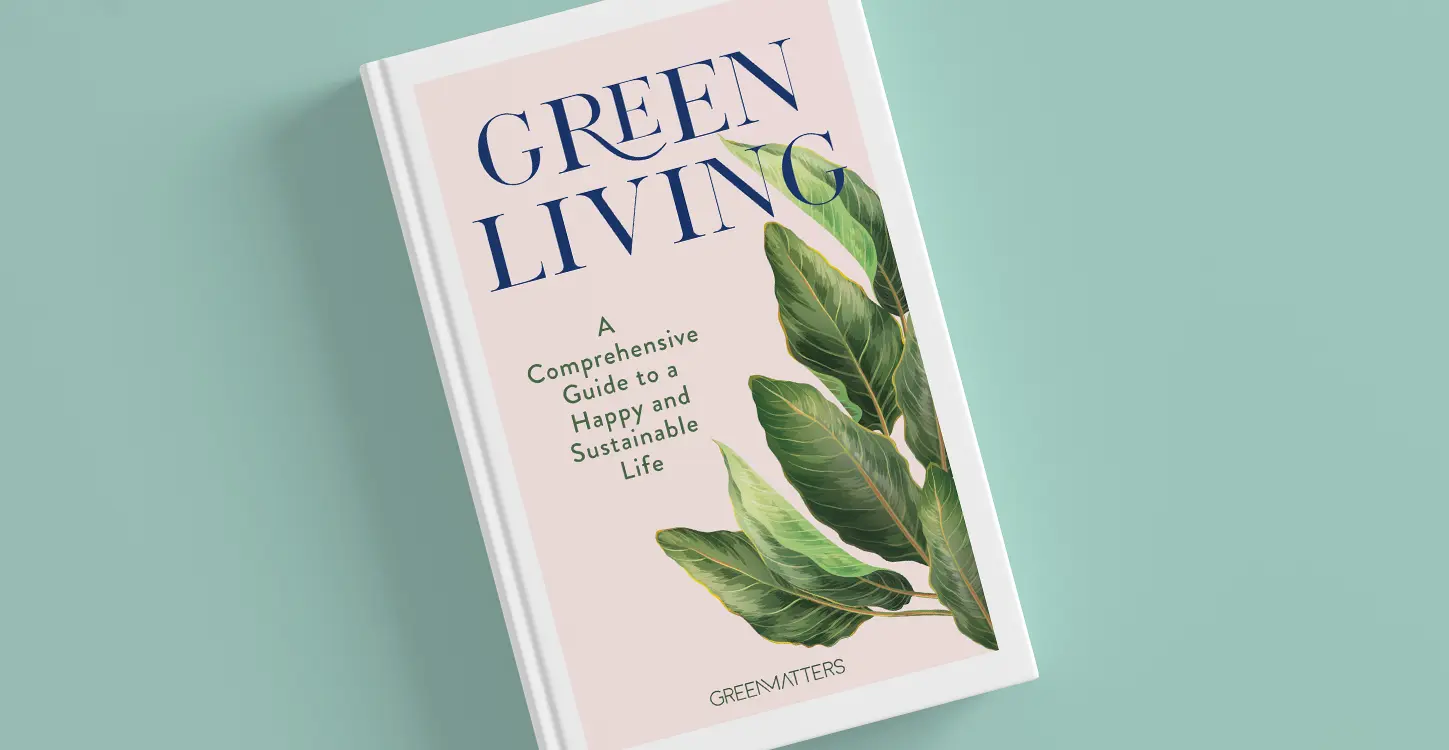 The Basics Of Sustainable Living: A Comprehensive Guide - Contentstopia